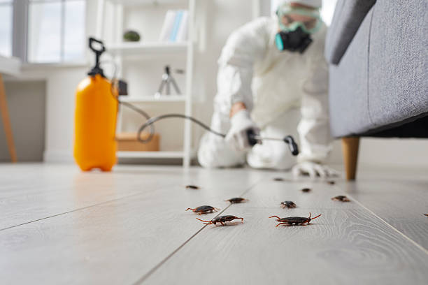 Trusted Termite Control service in Sterling Heights, MI - Nex Pest Control